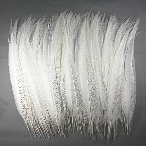 50pcs Favos brancos cauda de penas prateadas 45-50cm Fantas caudas de faisão Lady Amhurst Pheasant Tails para carnaval