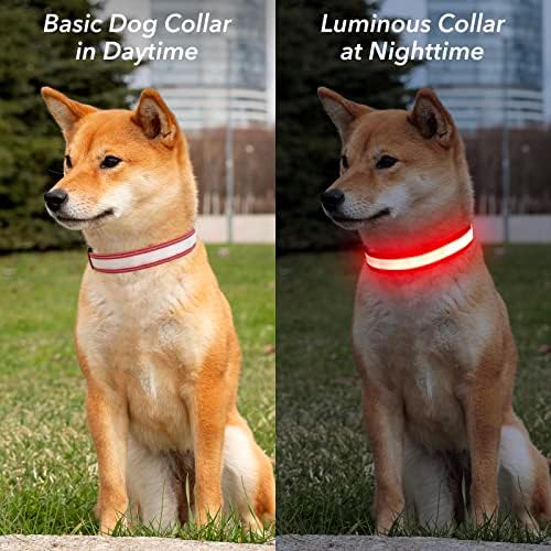 Colar de cachorro visinita iluminação, colarinho de cachorro reflexivo, colarinho de cachorro aceso, colarinho de cão recarregável