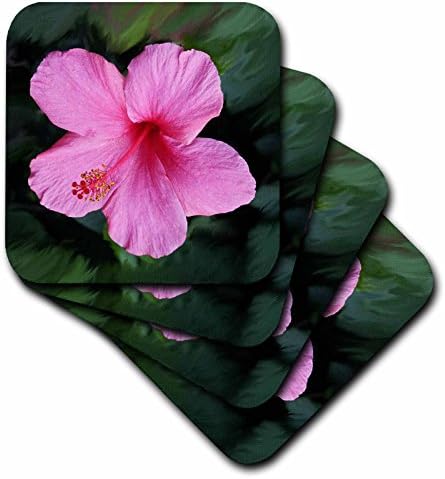 3drose rosa Hibiscus Cerâmica Montanha -russa, conjunto de 8