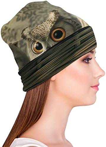 Baikutouan Funny Owl Print Feanie Hats for Men Mulheres com Design Capulh Cap
