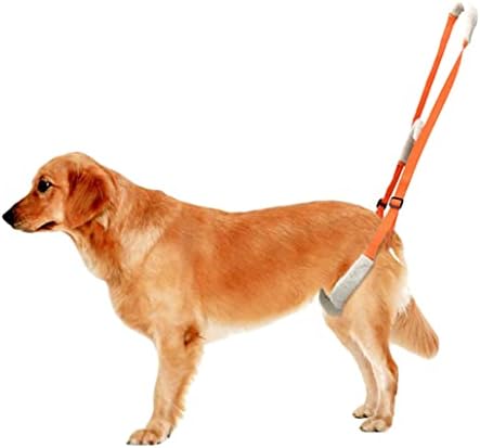 Asttzn Dog Hind Leg Support Suporte ao cão Arnês para as pernas traseiras Cão de elevador de cão para as pernas traseiras para