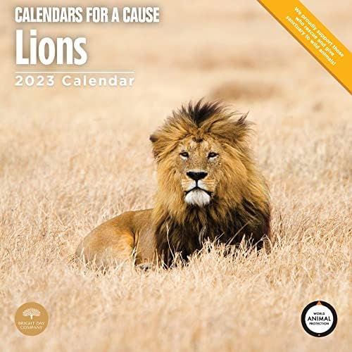 2023 Lions Monthly Wall Calendário por dia brilhante, calendários para uma causa, 12 x 12 polegadas, bela Nature Wildlife Photography