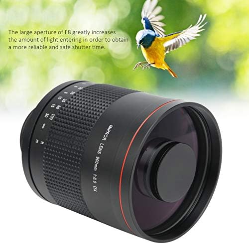 900mm F8.0 Lens espelho telefoto com anel adaptador para a câmera Nikon Ai Mount SLR, para atirar pássaros e animais selvagens