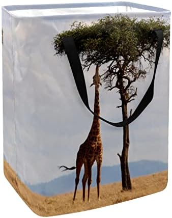 DJROW LAPUNIDADE ALÉMIA DO LAPUNDERY Giraffe Quênia Africa Africa Vida selvagem Restre grande cesta com alças para brinquedos de roupas de armazenamento no quarto do quarto