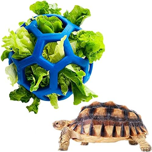 Tortoise Tratar a bola de frutas do alimentador de vegetais para forragear recipiente de comida de brinquedo para tartaruga de estimação animais pequenos
