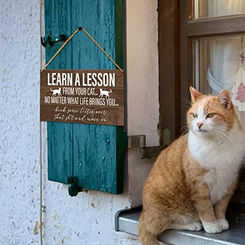 Placa engraçada de gato, aprenda uma lição do seu gato, sinal inspirador da porta do gato para decoração da sala de estar
