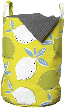 Bolsa de lavanderia de limão de Ambesonne, prolongadas e folhas de folhas e folhas azedas e orgânicas desenhadas, com alças fechadas