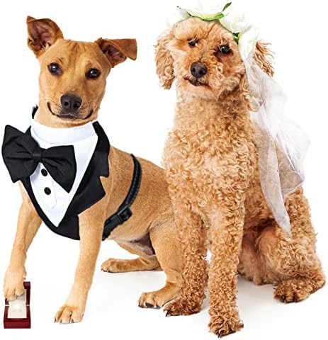Arnês de smoking para cães para cães pequenos e treliças define o traje de casamento de cã