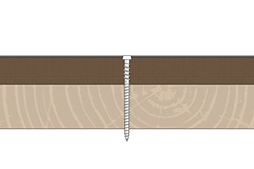 Parafuso de madeira revestida externa de decks composto de yyl,10x2-3/4 , drive estrela Torx 20, ponto de slot tipo 17, 350