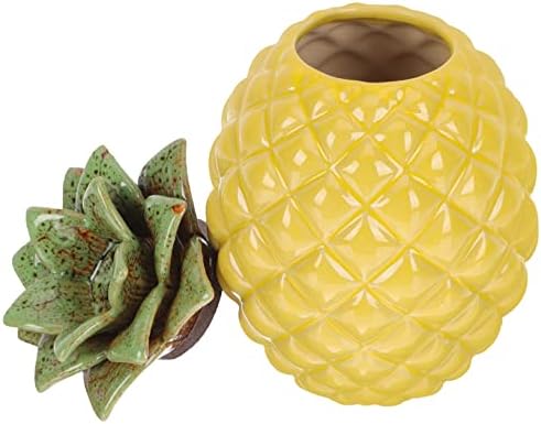 Alipis Tank Tea Classic Nuts Caras com alimentos chiques especiarias de porcelana caddy caddy amarelo forma de cerâmica