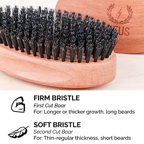 Zeus Oval Militar Militar Brush, Bristle Bristle Style Military Barba Brush para homens - Feito na Alemanha Q91