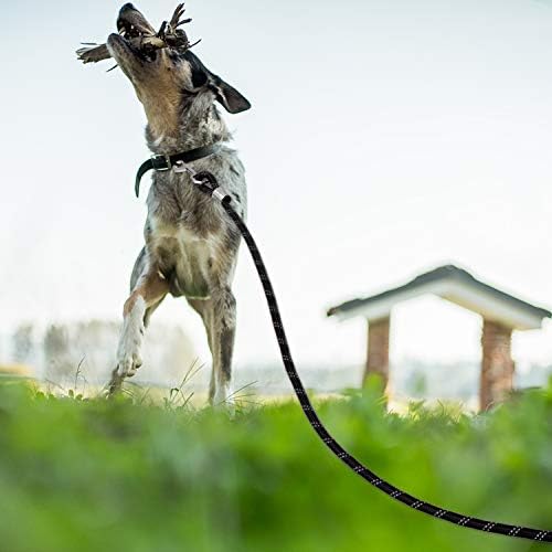 Segzwlor Long Dog Leash - 30 pés de treinamento refletivo de 50 pés de corda pesada corda de cachorro - nylon cão chumbo de chumbo com caminhada, caça, acampamento, corrida, etc. Controle fácil para cães pequenos, médios e grandes