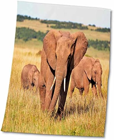3drose elefante rebanho andando no elefante de animais de prado - toalhas