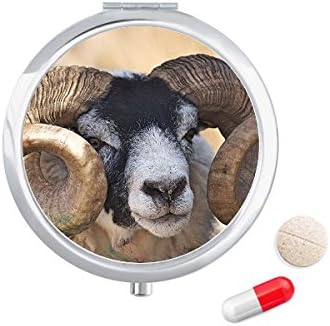 Organismo terrestre de imagem Wild Animal Pill Case Pocket Medicine Storage Box Recipiente Distribuidor