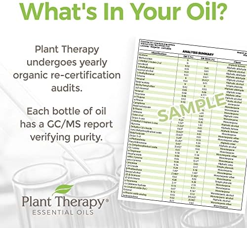 Terapia vegetal Relax Orgânica Mistura de óleo essencial pura, não diluída, aromaterapia natural, grau terapêutica