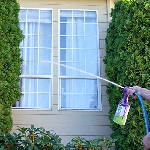 Rejuvenescer spray de janela ao ar livre e limpador de enxágüe com adaptador de extremidade da mangueira