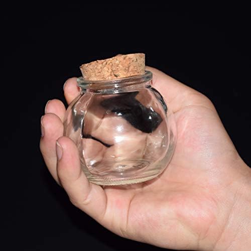 Garrafa de vidro transparente com rolhas de cortiça Formas variadas de vasos de brot