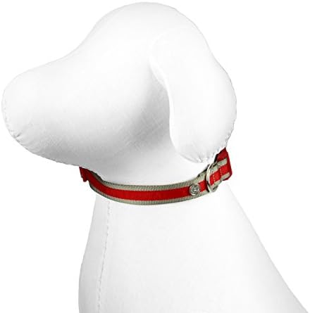 Martha Stewart Classic Webbing com colar de sobreposição para cães, vermelho, tamanho 20