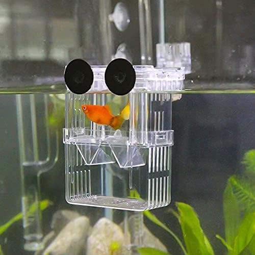 Ainda acordado aquário peixe criador caixa de peixe plástico isolamento caixa de criação caixa de incubador de incubadora para peixe bebê camarão de camarão palhaço guppy （l vor