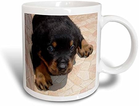 3drose Dog Rottweiler Puppy Ceramic Caneca, 11 onças