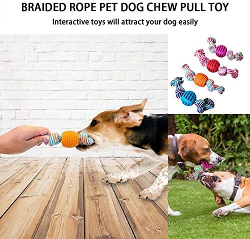 XPSM Puppy Toys de cachorro Pet Supplies