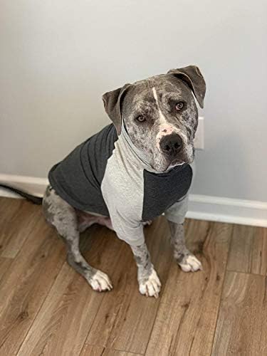 Roupas de dente e mel para cães - cães de raça grandes camisetas de verão leves e leves - bloco de cores camisas de alergia cinza escura