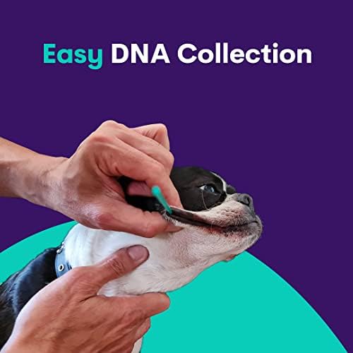 Teste de DNA de cães Orivet | Kit abrangente de teste de raça de cães, testes genéticos e plano de vida Genopet+ para caninos