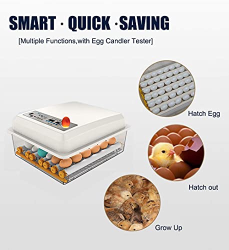 Jaedo Egg Incubator, Jaedo 54-64 Incubadora Digital Totalmente Automática para Golche com ovos de Frango Para Chickens