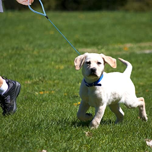 Mi Metty Chew Proof Dog Leash - Pumbo de cabo de metal de seis pés. Coleira pesada feita de cabo de aço revestido. Chew resistente,