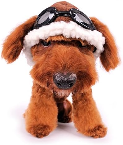 Chapéu de aviador de cachorro com óculos de óculos largos