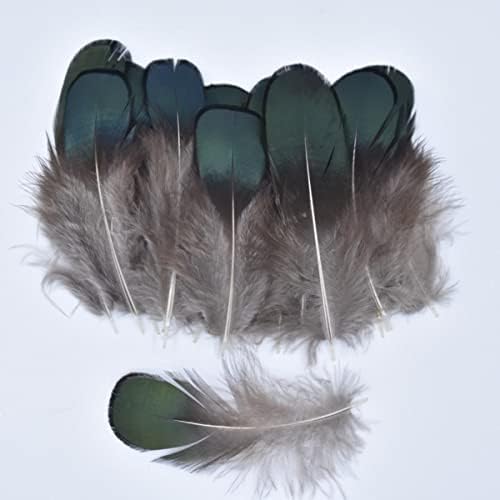 Penas de penas pequenas diy para roupas penas de pavão para jóias fazendo carnaval bundas de pluma de decoração de 3-7cm, 20 peças