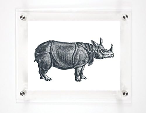 Rhino Mitchell Black, 9x12in.