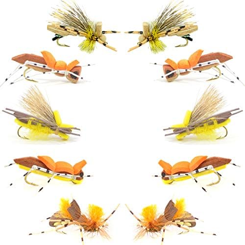 Coleção básica da pesca com mosca - Hoppers de espuma Voltor de mosca seca - 10 Grasshopper de pesca a seco - 5 Padrões - Tamanho