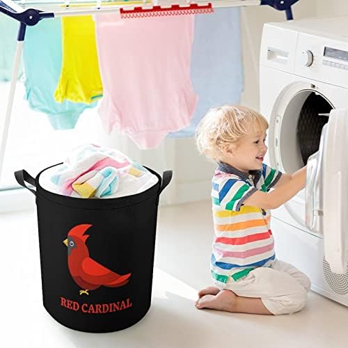 Red Cardinal Laundry Besta de cesta dobrável Casca de lavanderia Caixa de armazenamento de balde com alça de corda