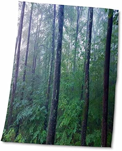 3drose tdswhite - fotos da natureza sazonal de verão - Woods Foggy Morning - Toalhas