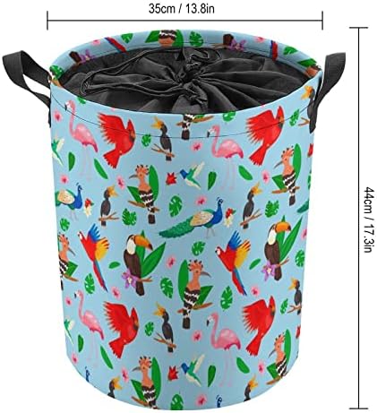 Tropical Birds Jungle Summer Rapazina cesto de lavanderia de lavanderia de lavanderia grande cesta de organizadores de