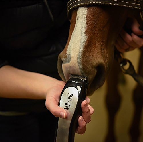 Wahl Professional Animal Pro Ion Equine Mordless Horse Clipper e Kit de preparação