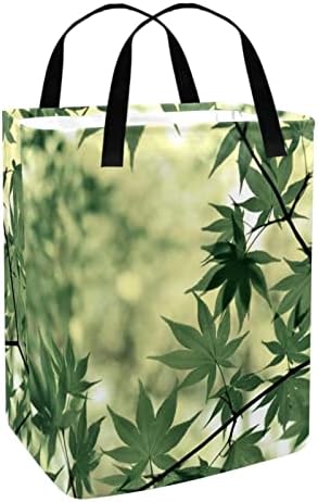 Folhas verdes folhas de folhagem de folhagem estampa de lavanderia dobrável, cestas de lavanderia à prova d'água de