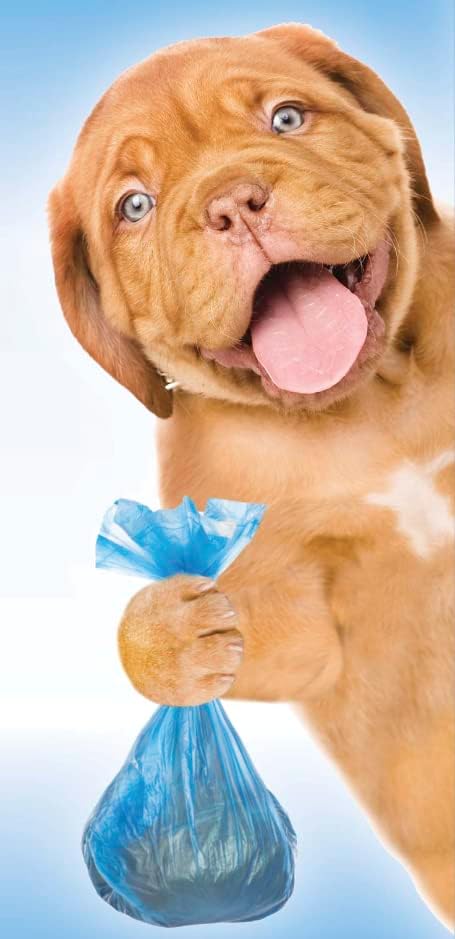 KTR Ruff & Whiskerz Premium Dog Waste Sachs | Perfeito para uso em caminhadas | Azul | 240 contagem