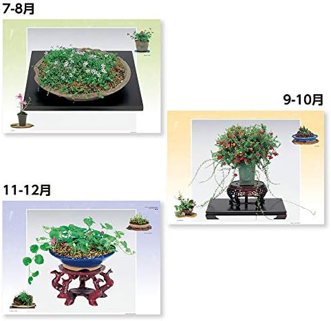 Calendário japonês Novo Japão Calendário 2021 Calendário montado nas paredes Wildwers/Mountain Flowers Mountain Wildflower