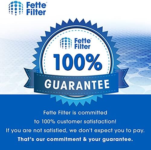 Filtro Fette - Filtro secundário de 18p0 para Garage Pro Wet/Dry Vacs compatíveis com Bissell Parte 2030165, 203-0165