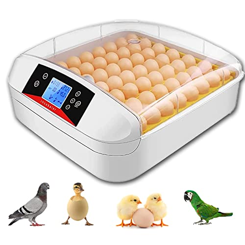 Incubadora de ovos, incubadora para eclodir ovos automáticos de eclosão de aves digitais com giro automático de ovos, para chicotes,