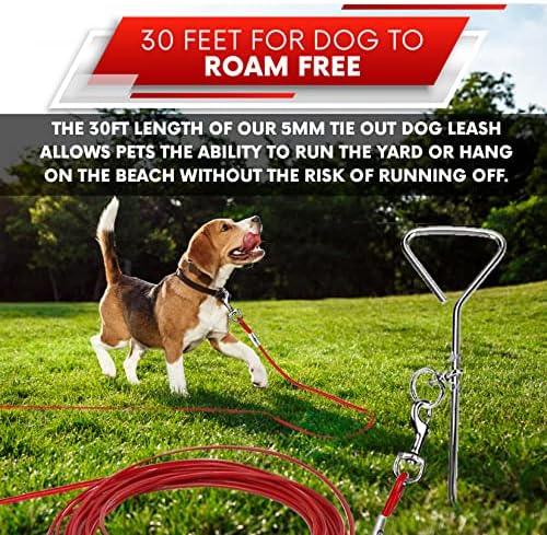 OUTRAV DOG TAY OUT Cable & Stake Kit - Linha de chumbo de cães de 30 pés de serviço com aço de aço âncora em espiral de metal para