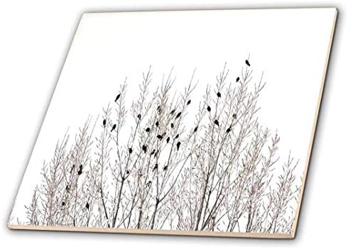 Fotografia 3drose do topo de uma árvore de inverno com pássaros - azulejo de cerâmica, 4 polegadas