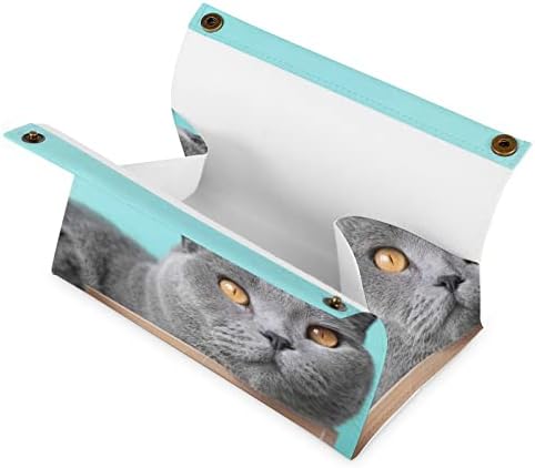 Dispensador de tecidos de gato azul capa de guardana