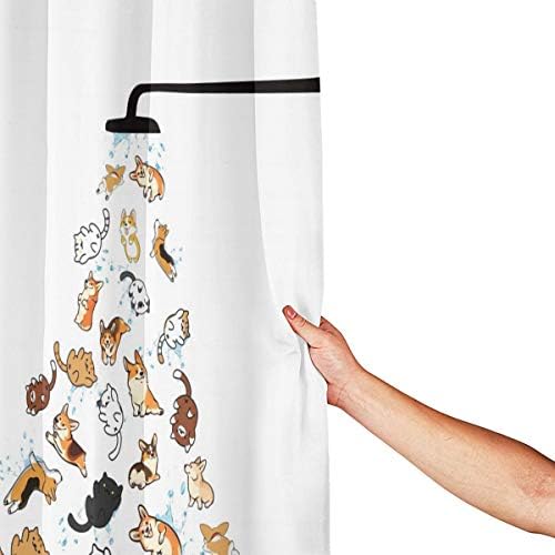 Dzglobal Raining Cats and Dogs Douper Curtain para crianças Desenhos animados Corgi Cortes de chuveiro para Banheiro Printing 3D Pets hilariantes Princadeiras de água Decoração de banho 72x72 Com 12 ganchos