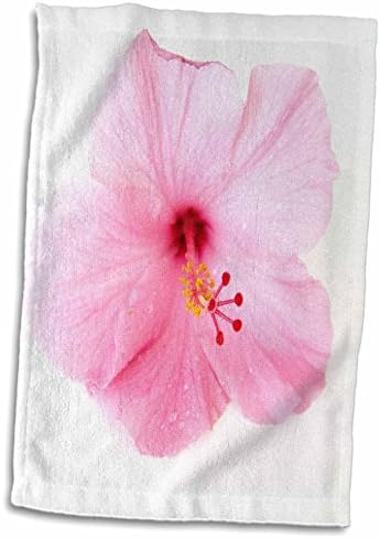 Macro de Florene 3drose - Hibiscus rosa em branco - toalhas