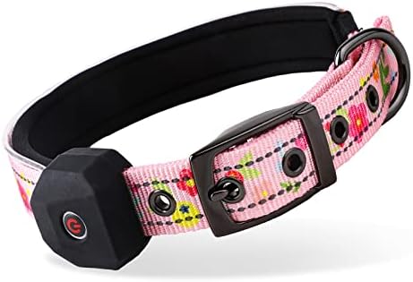 Collar de cão de lanterna com recarregável: colar refletivo LED com segurança de animais de estimação USB Caminhada fácil para