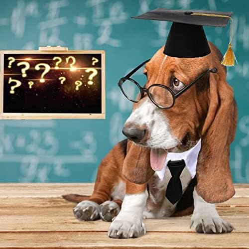Caps de graduação para cães Conjunto, chapéus de formatura com calcinha/bowtie/bandana férias de festa, vestuário de graduação no pescoço