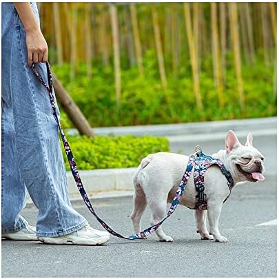 CHAI's Choice -Premium Trail Runner, Multi Handle, Leash de cães pesados ​​- Líder de treinamento para controle máximo e